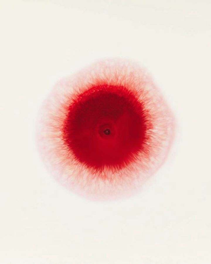 A single drop of blood on white.