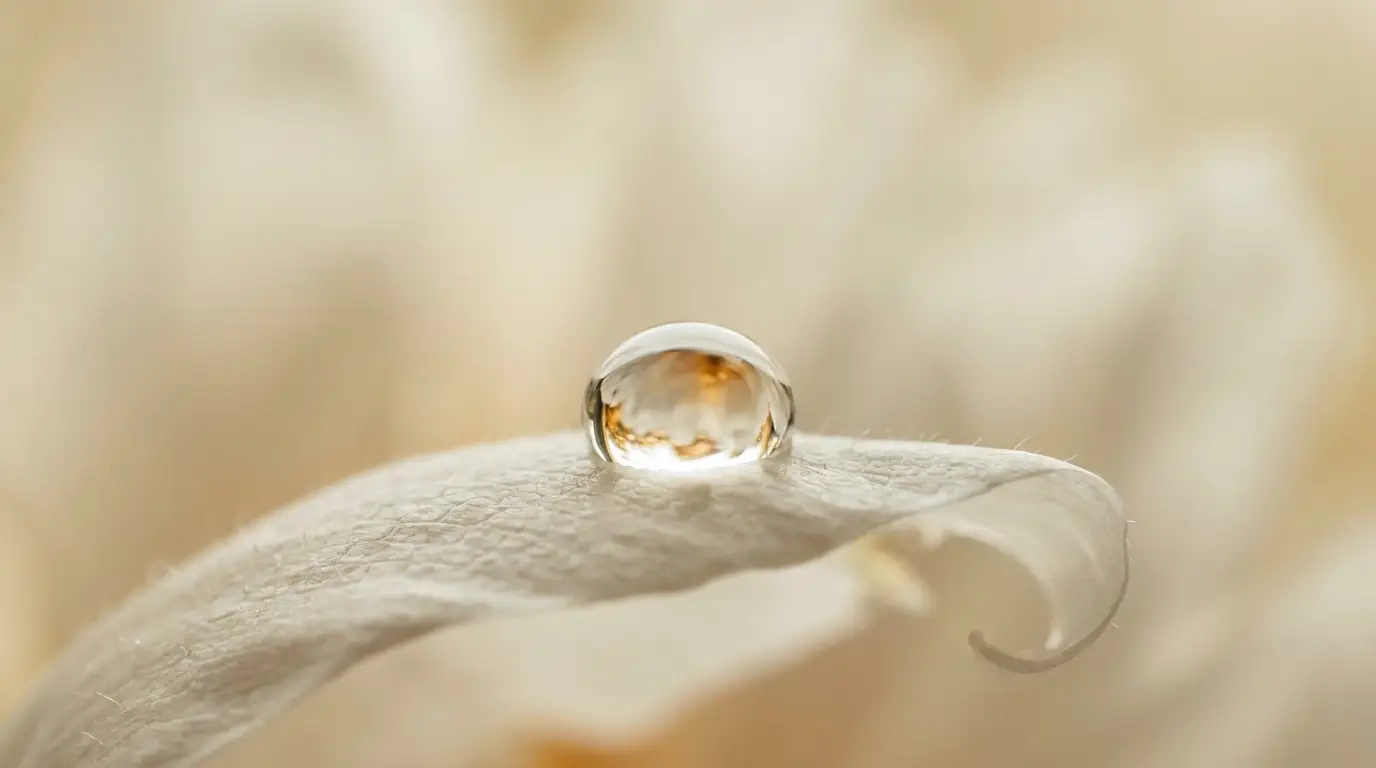 Close precise detail — a small careful adjustment