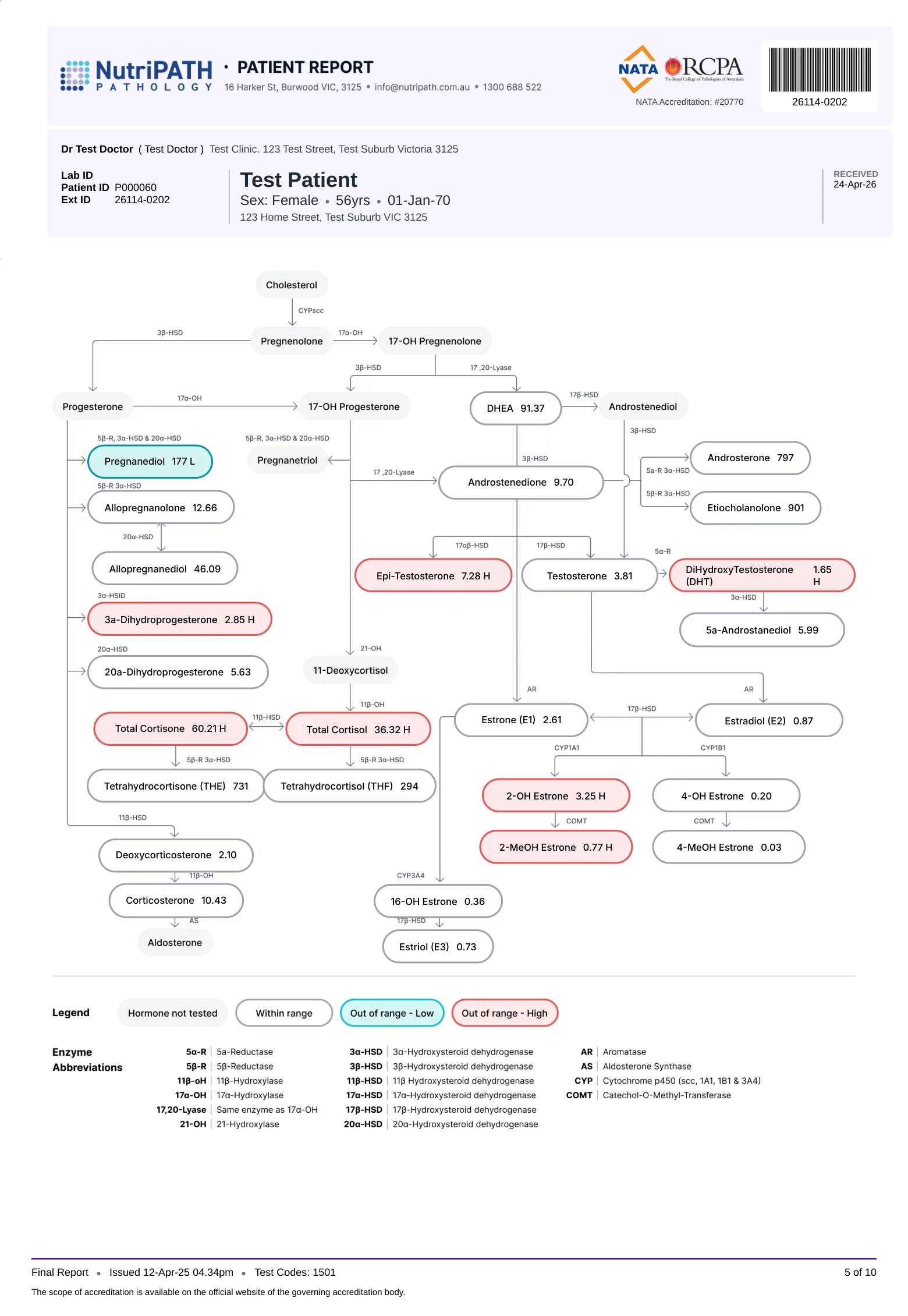 Sample EndoMAP report, page 5: the full steroid hormone pathway map, colour coded by result.